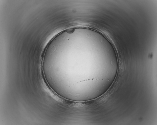 X0000111381235200907241302