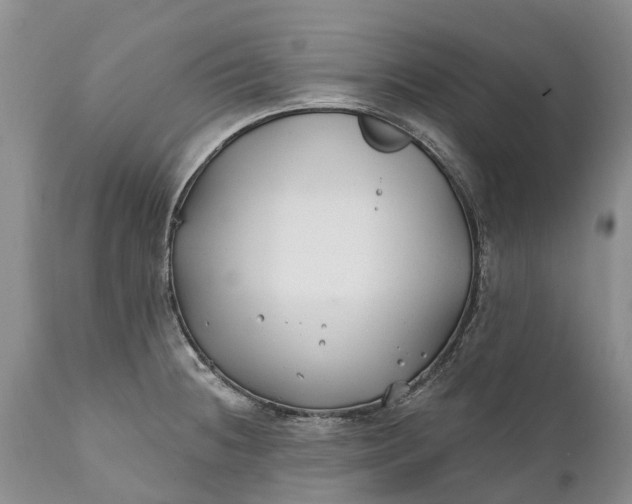 X0000111381236200907241302