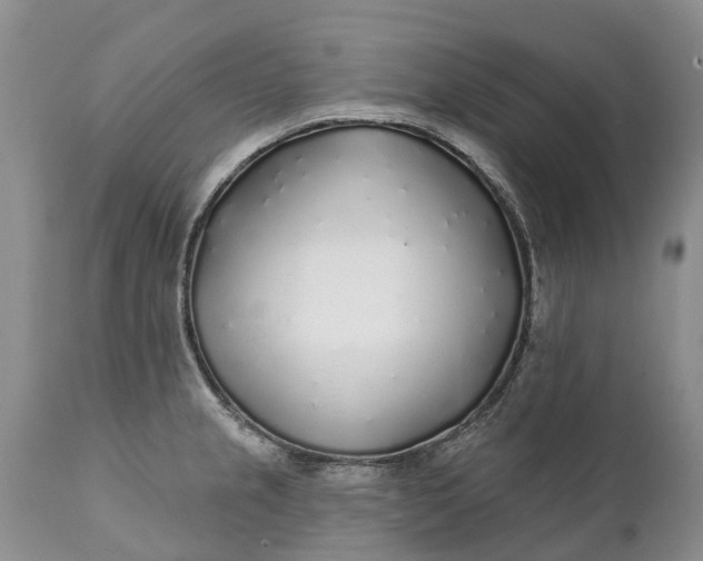 X0000111381237200907241302