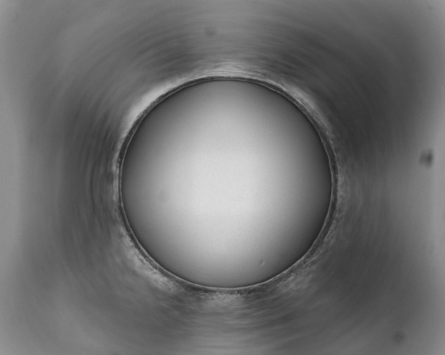 X0000111381238200907241302