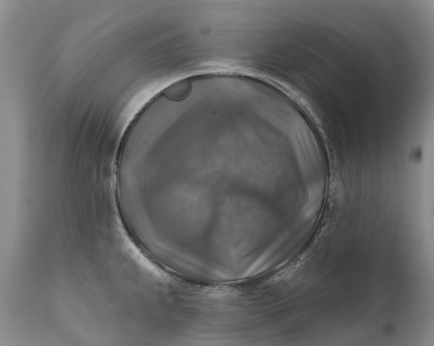 X0000111381239200907241302