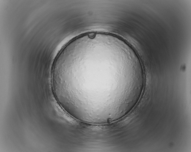 X0000111381240200907241302