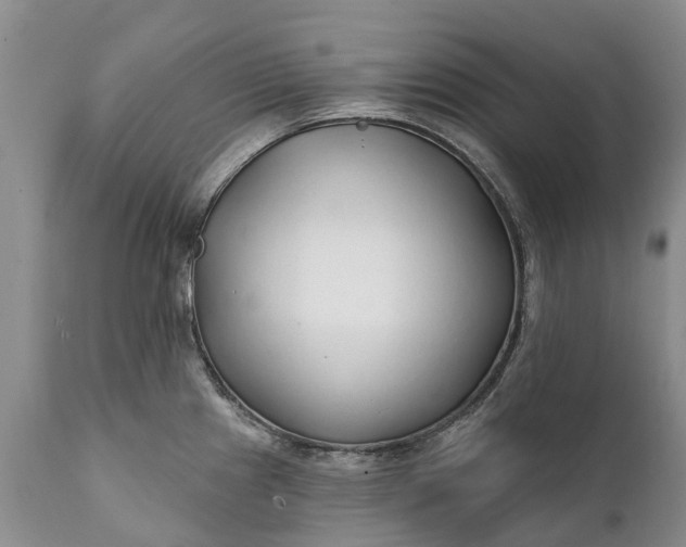 X0000111381241200907241302