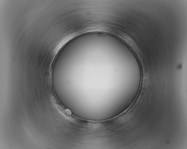 X0000111381242200907241302