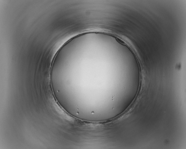 X0000111381244200907241302