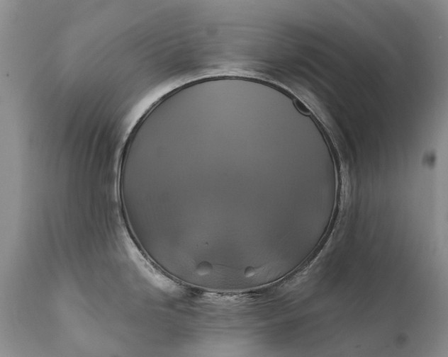 X0000111381246200907241302