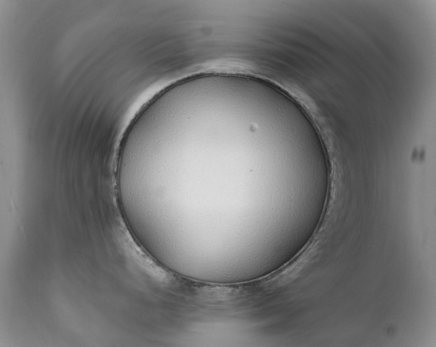 X0000111381248200907241302