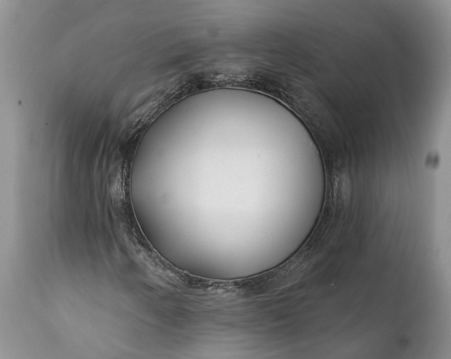 X0000111381250200907241301