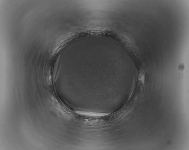 X0000111381252200907241301