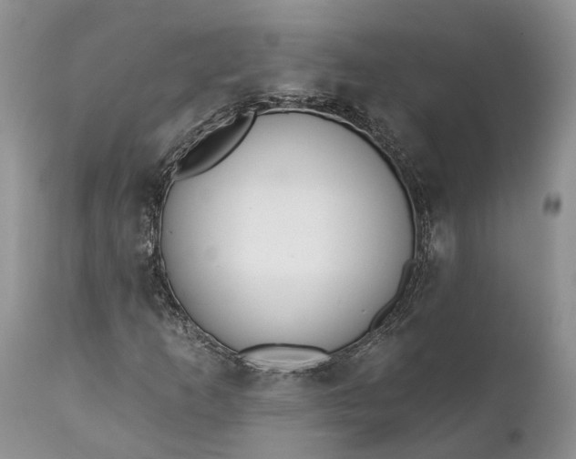 X0000111381253200907241301