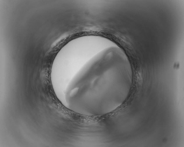 X0000111381254200907241301