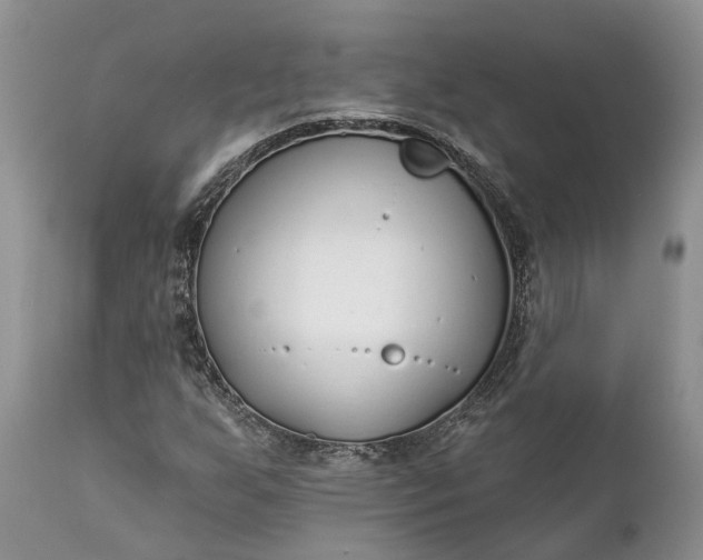 X0000111381255200907241301