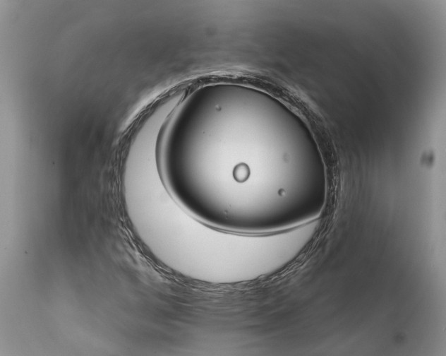 X0000111381256200907241301