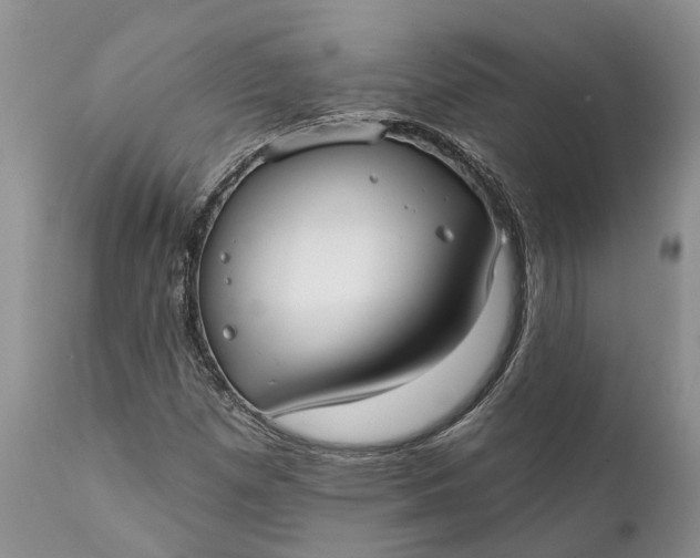 X0000111381257200907241301