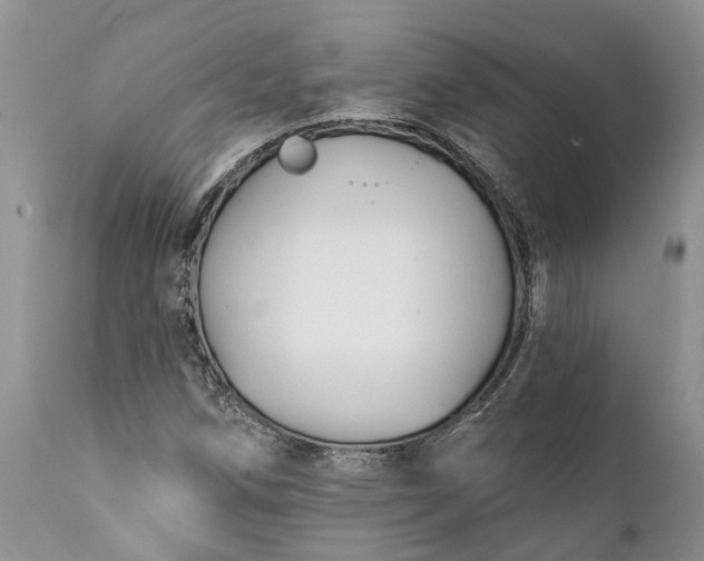 X0000111381258200907241301