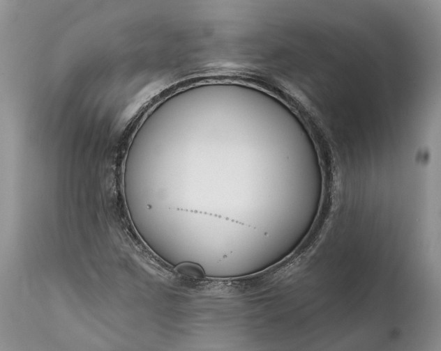 X0000111381259200907241301