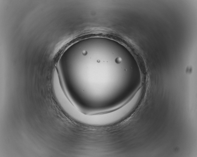 X0000111381261200907241301