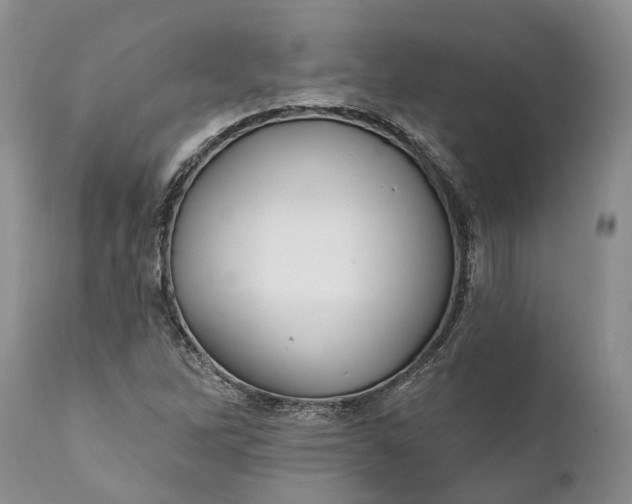 X0000111381262200907241301