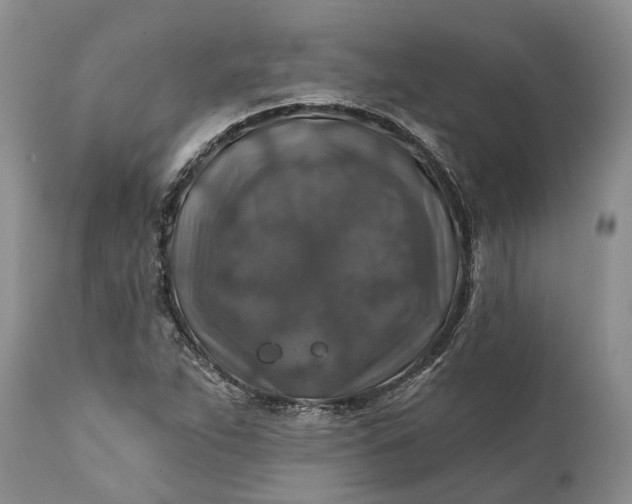 X0000111381263200907241301