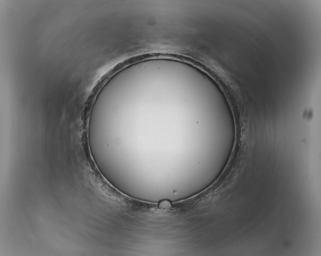 X0000111381264200907241301