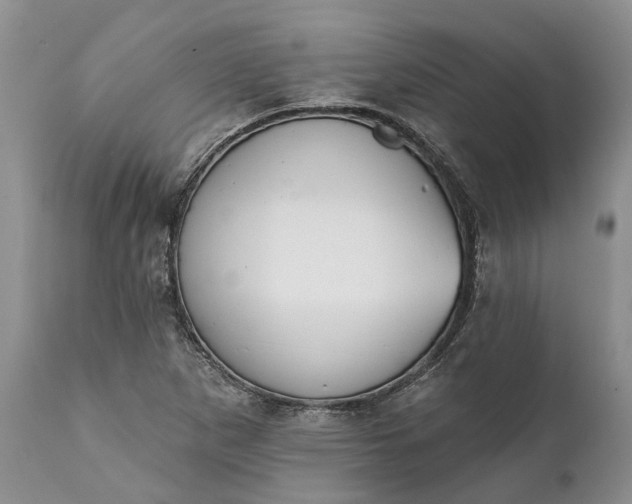 X0000111381265200907241301