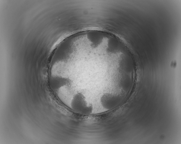 X0000111381266200907241301