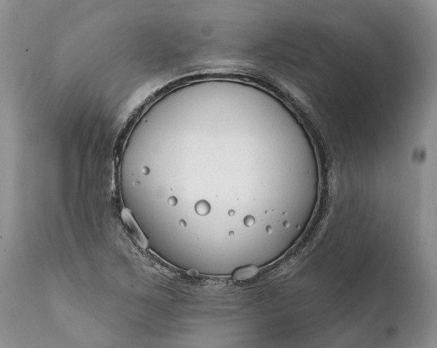 X0000111381267200907241301