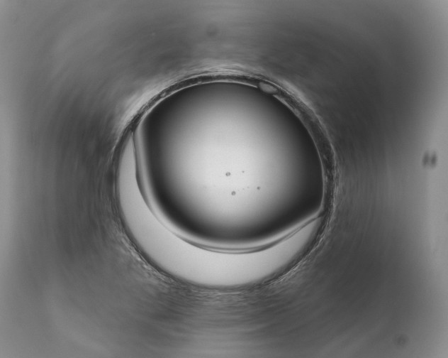 X0000111381269200907241301