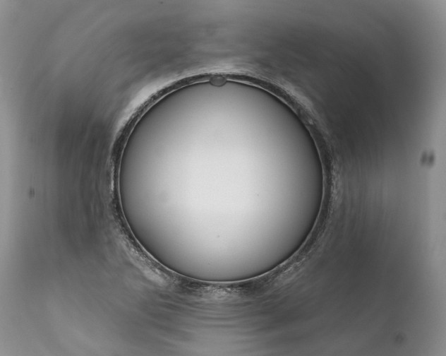 X0000111381270200907241301