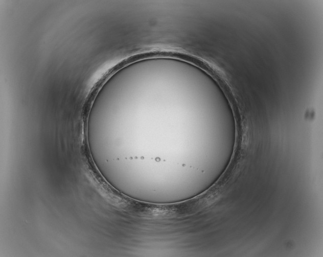 X0000111381271200907241301