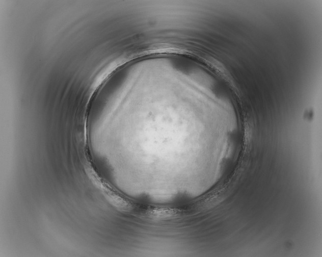 X0000111381274200907241301