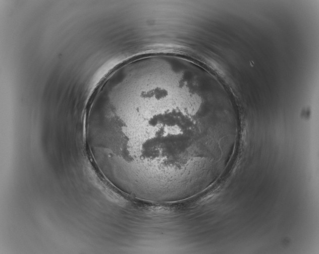 X0000111381275200907241301