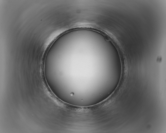 X0000111381277200907241301