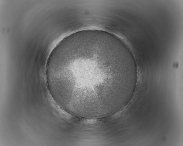 X0000111381278200907241301