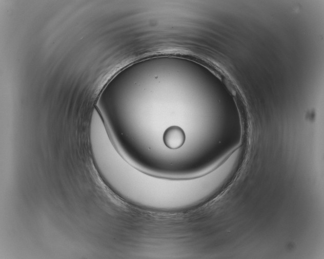 X0000111381281200907241301