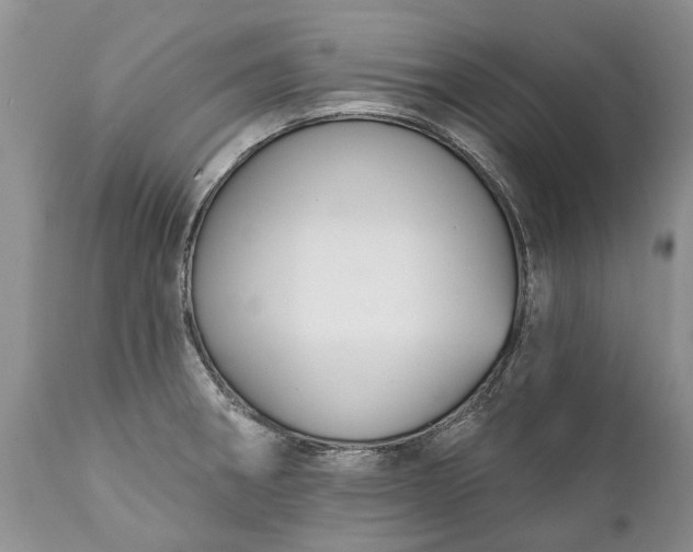 X0000111381282200907241301