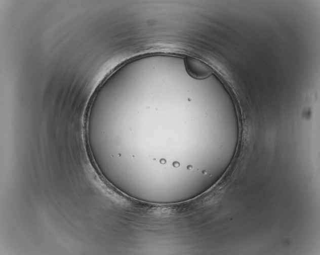 X0000111381283200907241301