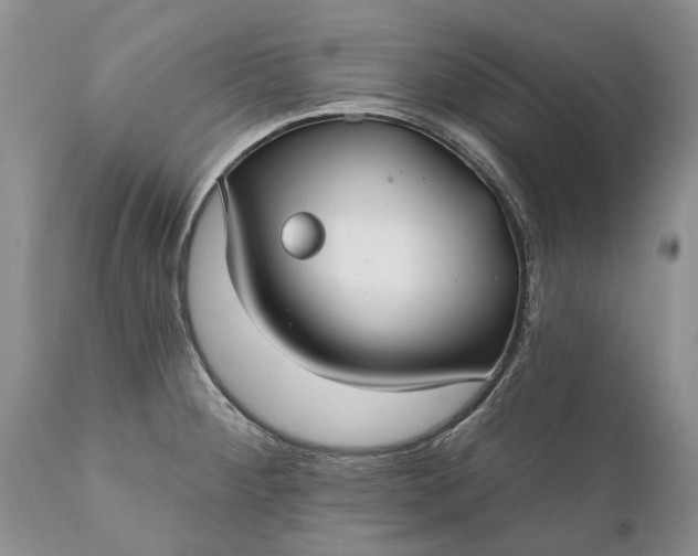 X0000111381284200907241301