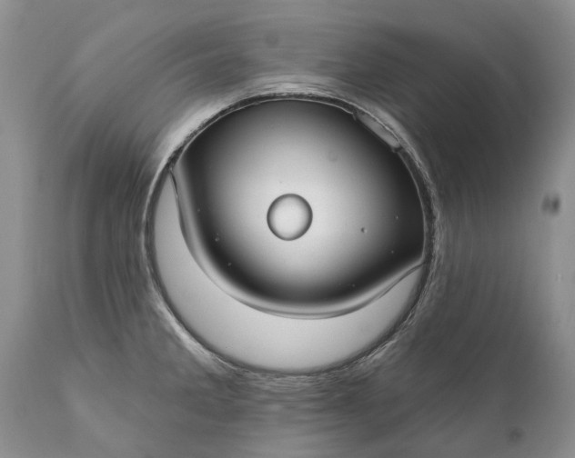 X0000111381285200907241301