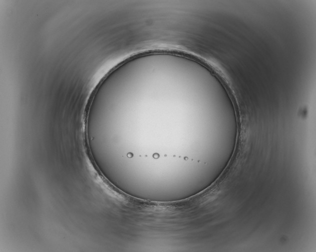 X0000111381287200907241301