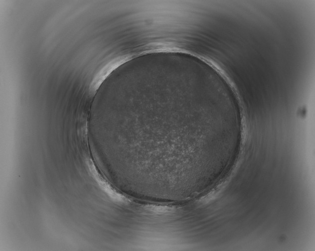 X0000111381289200907241301