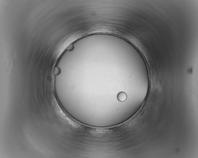 X0000111381290200907241301