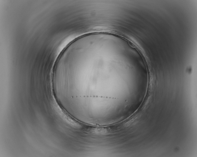 X0000111381291200907241301