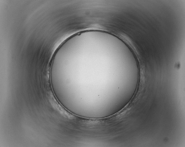 X0000111381292200907241301