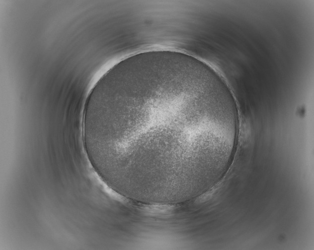 X0000111381294200907241301