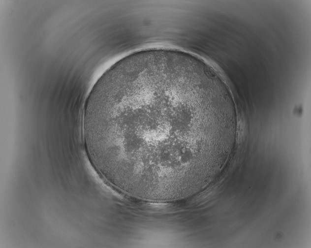 X0000111381295200907241301