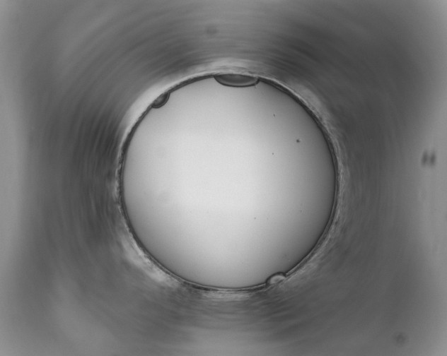 X0000111381296200907241301