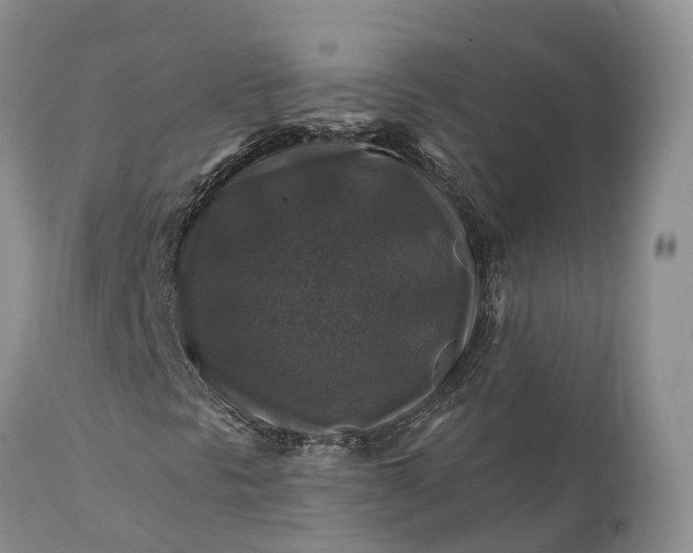 X0000111381297200907241300