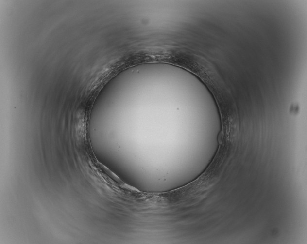 X0000111381298200907241300