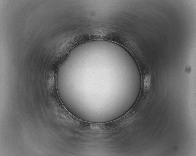 X0000111381299200907241300